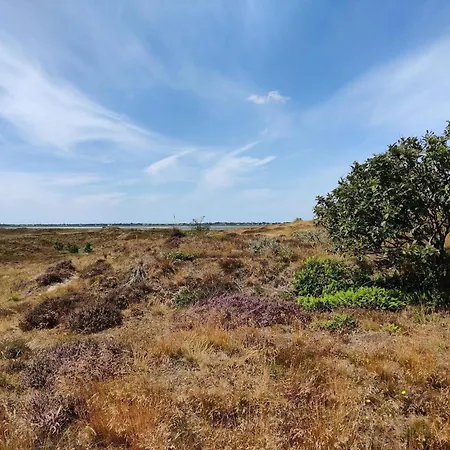 4 Person In Fano-by Traum Nyaraló *