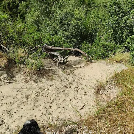 Hébergement de vacances 4 Person In Fano-by Traum