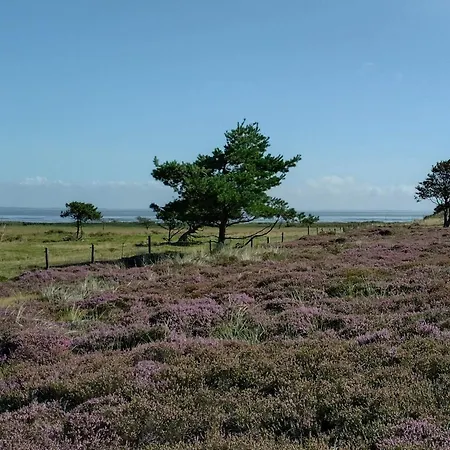 4 Person In Fano-by Traum Hébergement de vacances