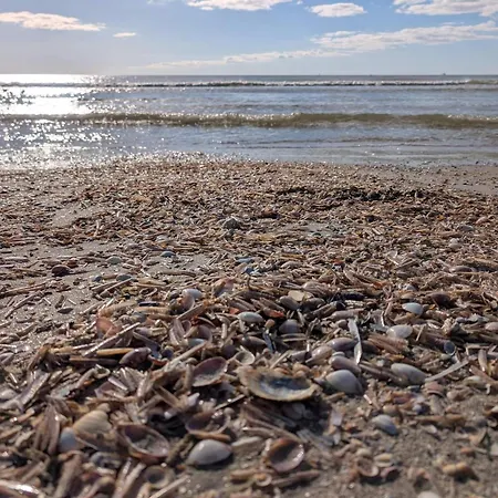 4 Person In Fano-by Traum *