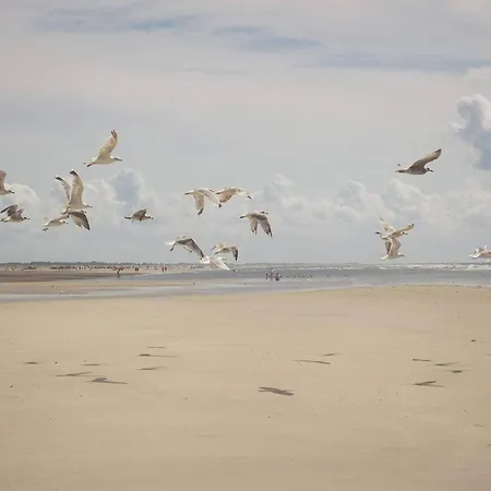 Nyaraló 4 Person In Fano-by Traum *