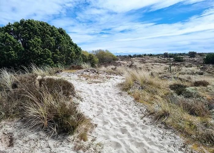 Nyaraló 4 Person In Fano-by Traum Fanø