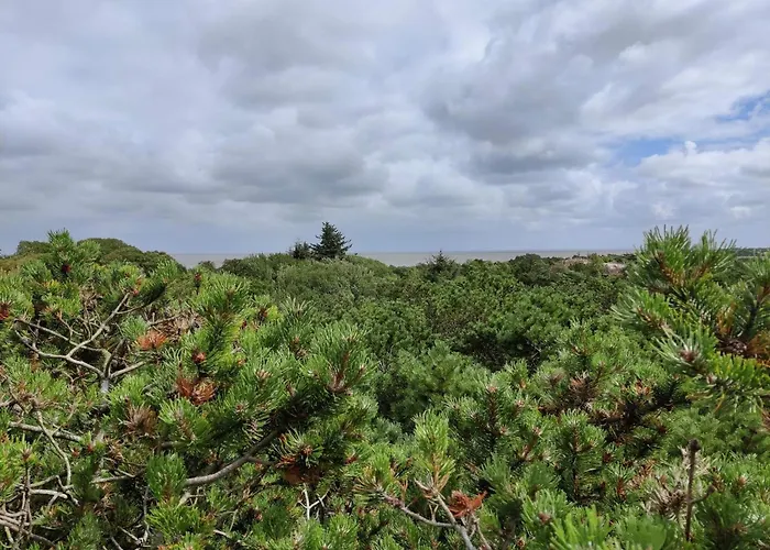 4 Person In Fano-by Traum