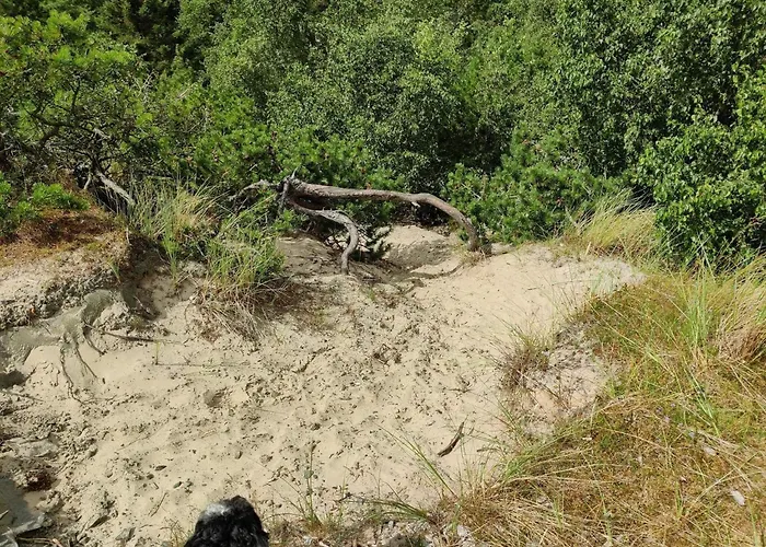 Nyaraló 4 Person In Fano-by Traum