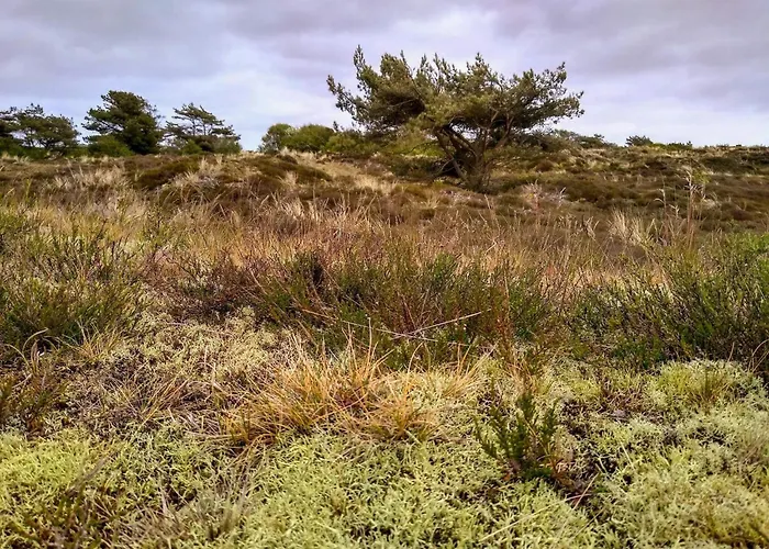4 Person In Fano-by Traum Nyaraló Fanø