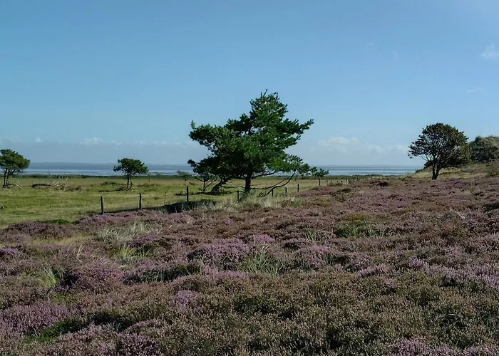 4 Person In Fano-by Traum Nyaraló