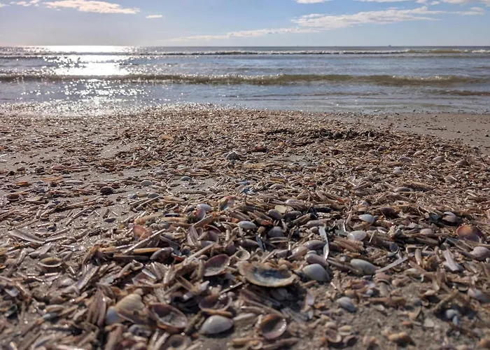 4 Person In Fano-by Traum *