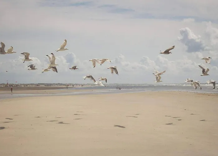 Nyaraló 4 Person In Fano-by Traum *